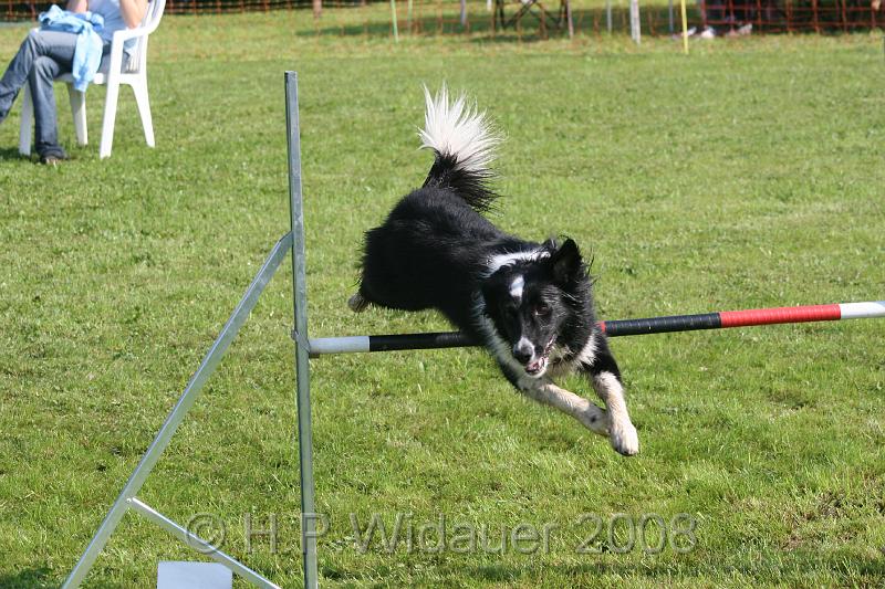 jubil.lusten. 122.jpg